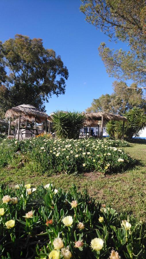 Lodge Monte Do Sobral Alcacovas Экстерьер фото
